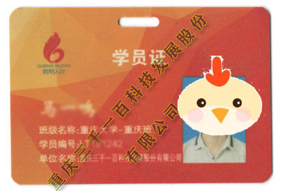 系统集成