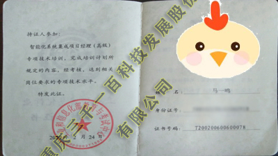 系统集成